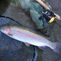 ７０オーバーキャッチ！ ～天竜川ルアーフライ専用区～